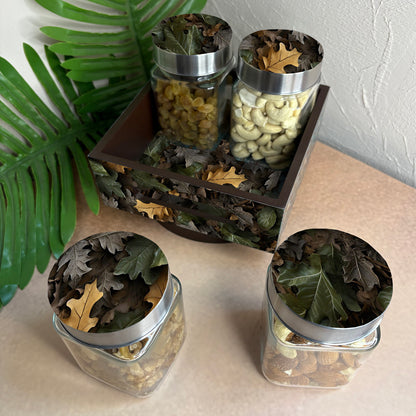 Jar Set : Glass Jars with Steel Lid ( Medium )