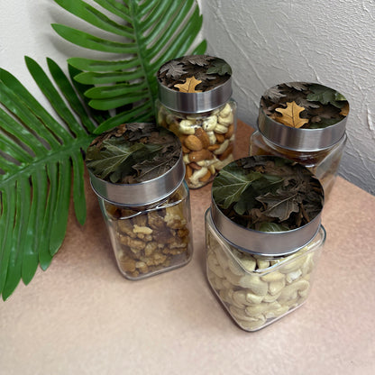 Jar Set : Glass Jars with Steel Lid ( Medium )